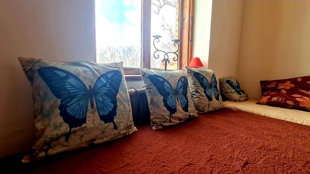 Apartmán Butterfly House Pāvilosta Exteriér fotografie